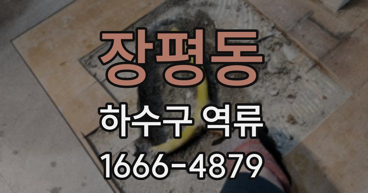 장평동 하수구 역류