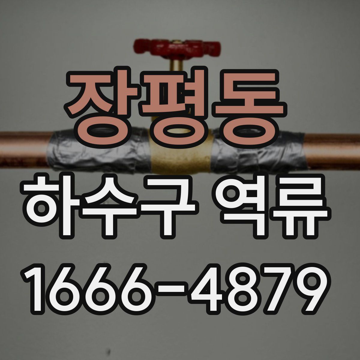 장평동 하수구 역류