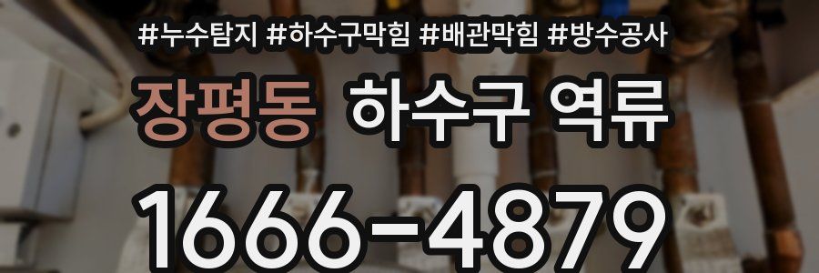 장평동 하수구 역류