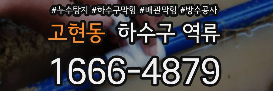 고현동 하수구 역류