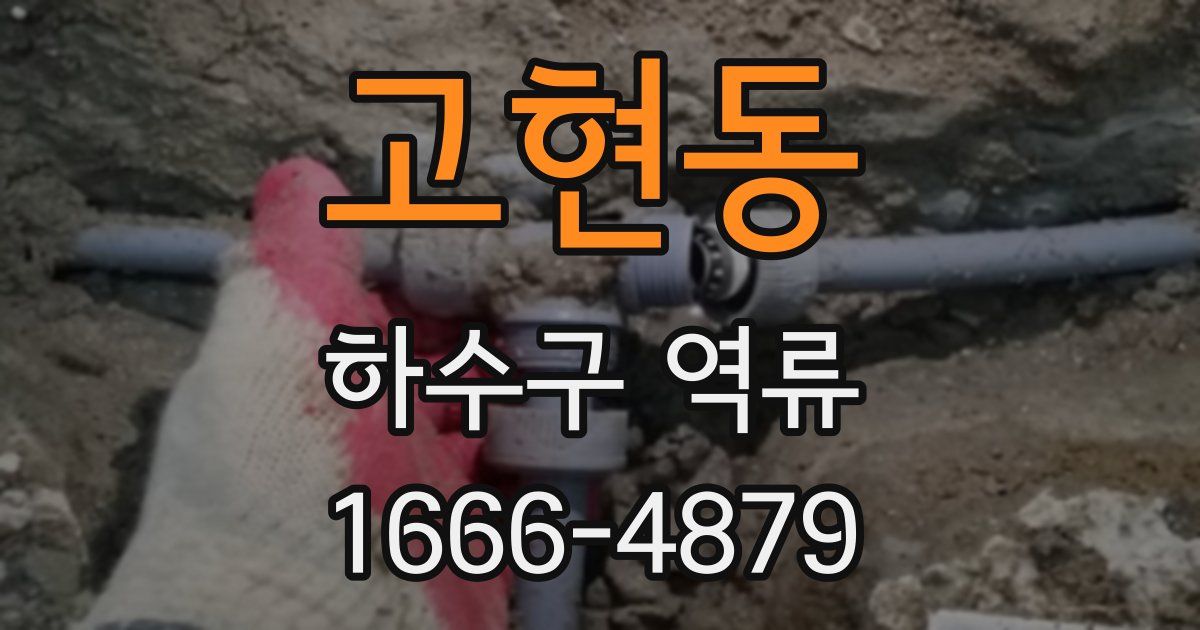 고현동 하수구 역류