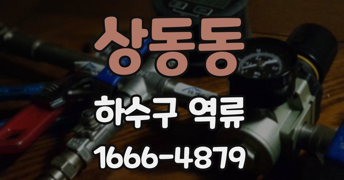 상동동 하수구 역류