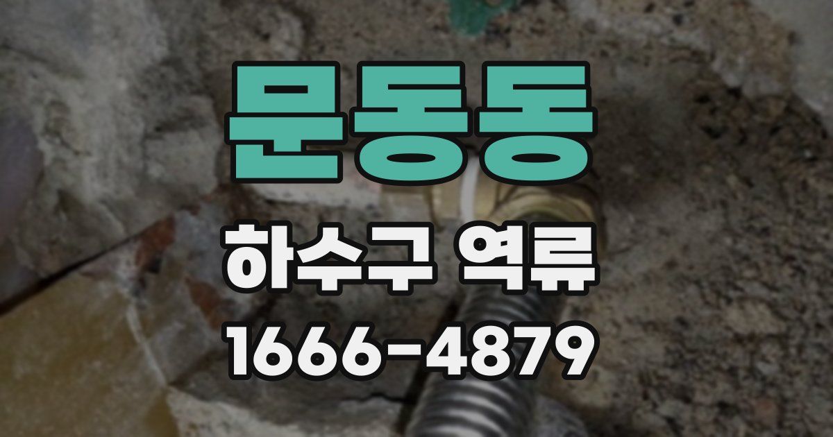 문동동 하수구 역류
