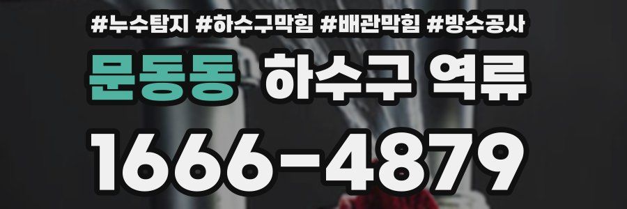 문동동 하수구 역류