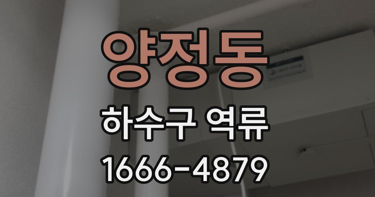 양정동 하수구 역류