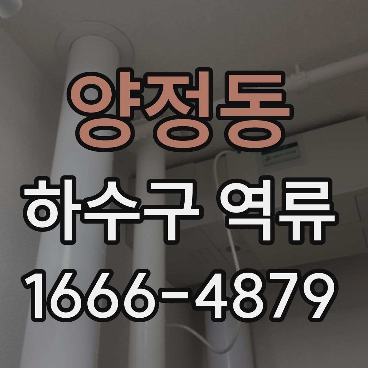 양정동 하수구 역류