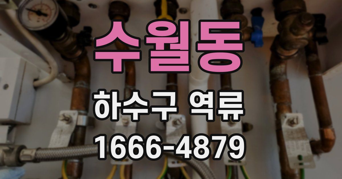 수월동 하수구 역류