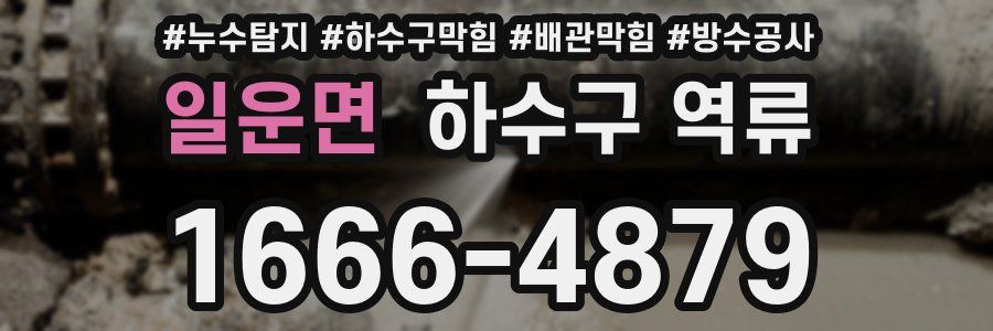 일운면 하수구 역류