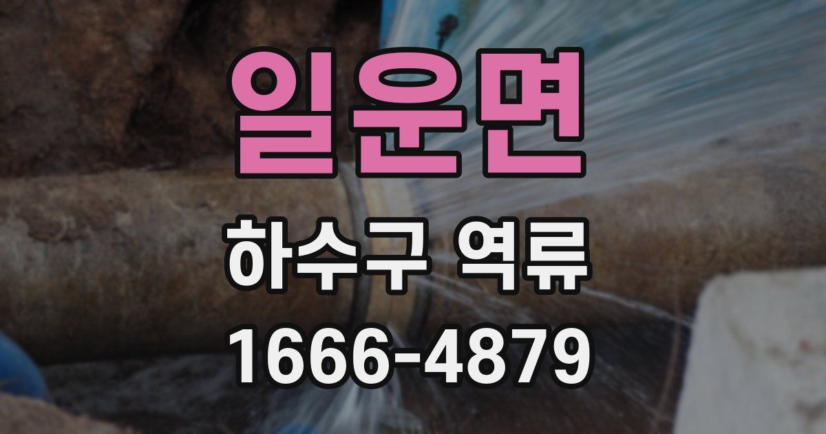 일운면 하수구 역류
