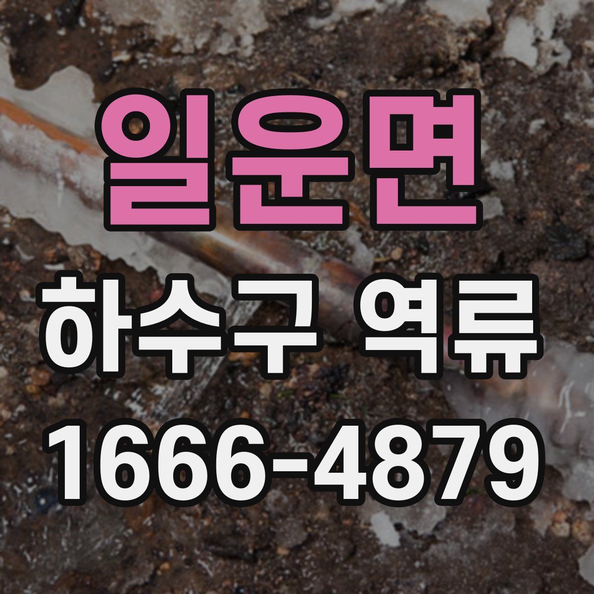 일운면 하수구 역류