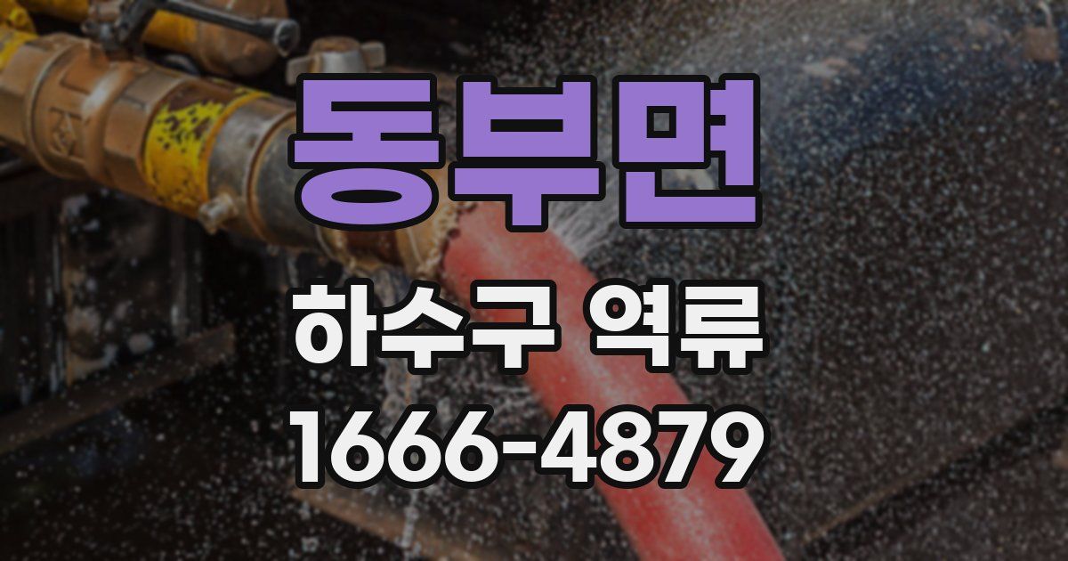 동부면 하수구 역류