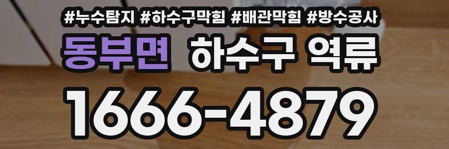 동부면 하수구 역류