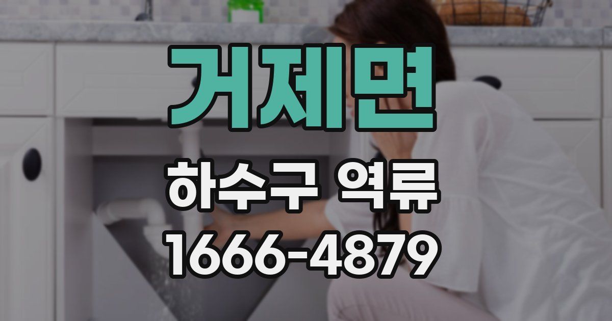 거제면 하수구 역류