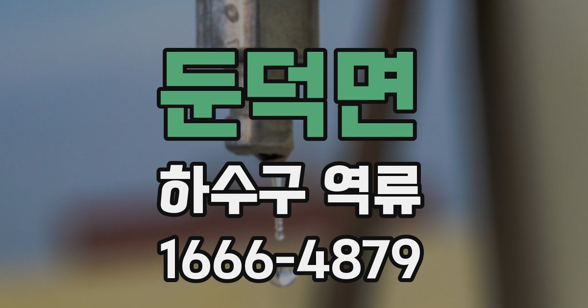 둔덕면 하수구 역류