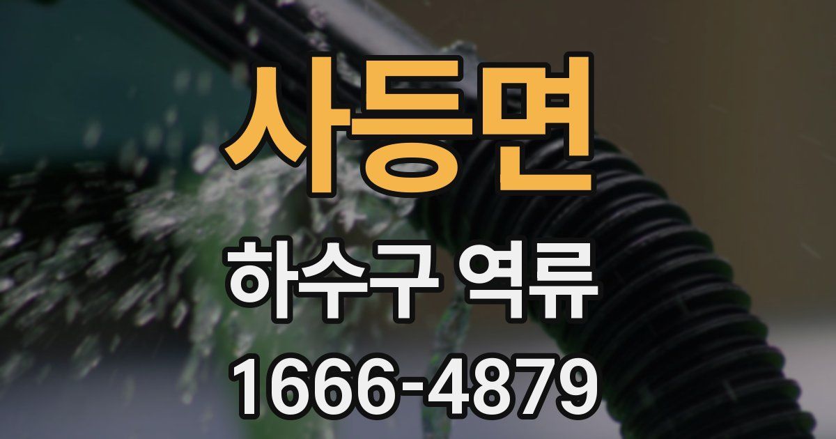 사등면 하수구 역류