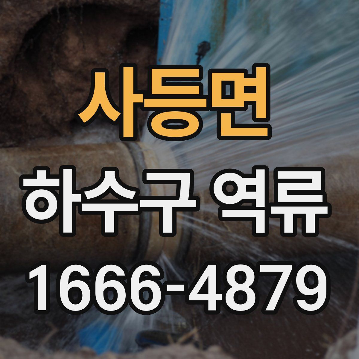 사등면 하수구 역류