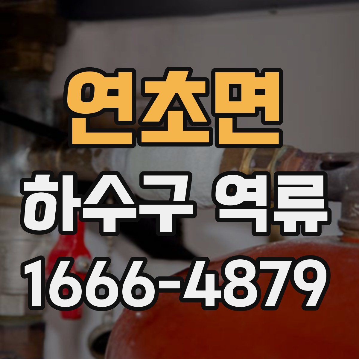 연초면 하수구 역류
