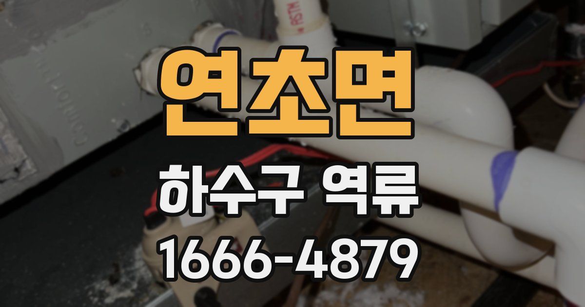 연초면 하수구 역류