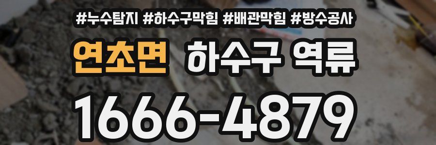 연초면 하수구 역류
