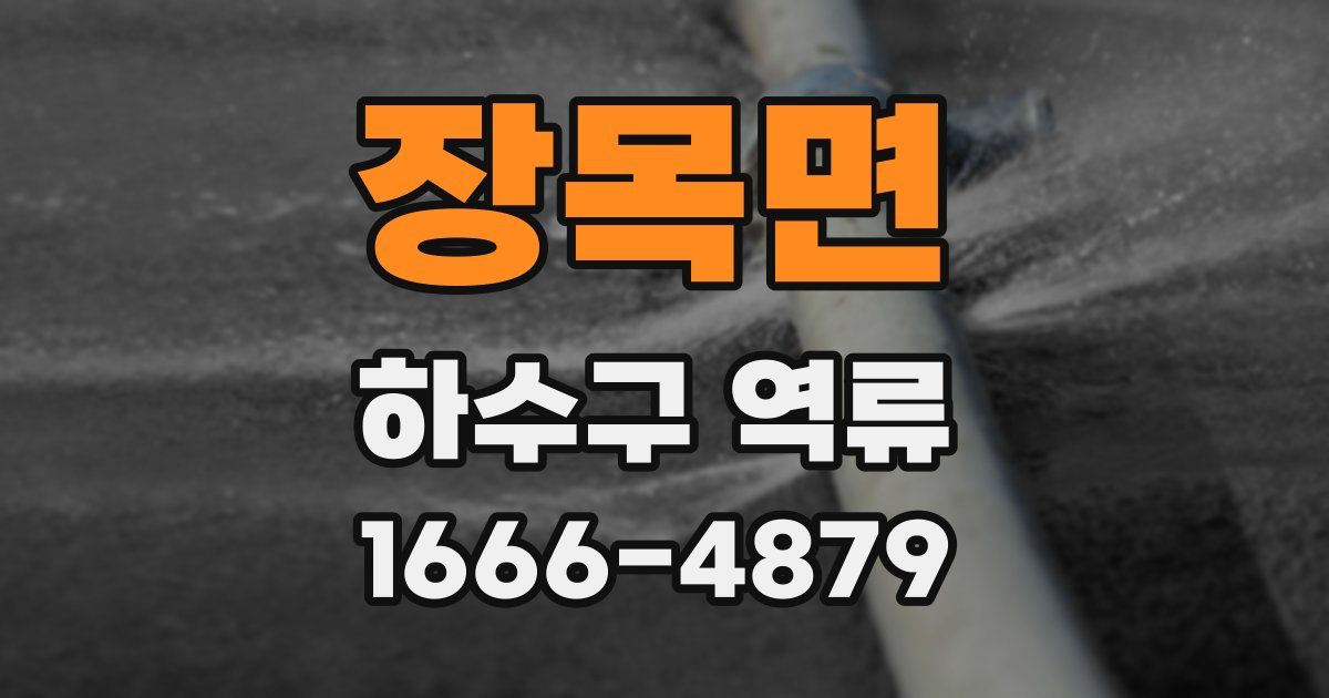 장목면 하수구 역류