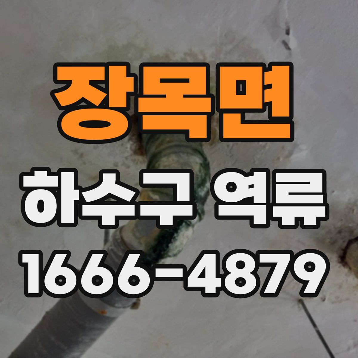 장목면 하수구 역류