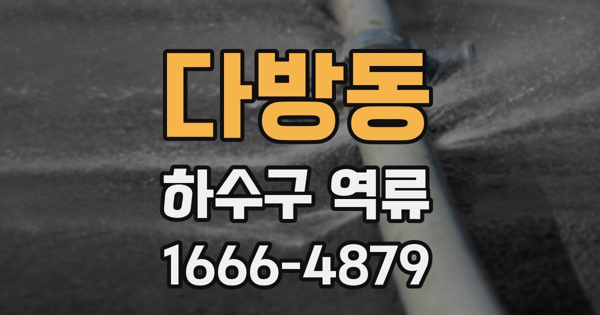 다방동 하수구 역류