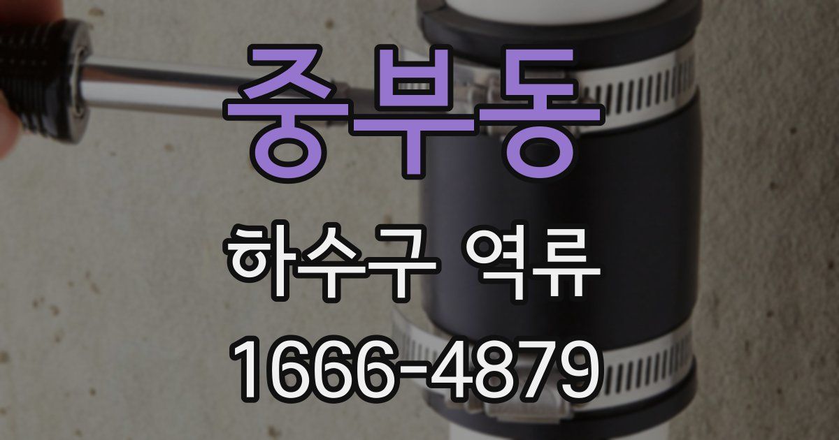 중부동 하수구 역류