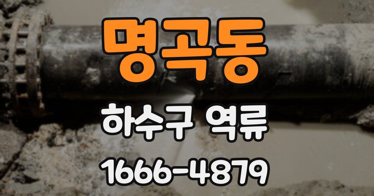 명곡동 하수구 역류