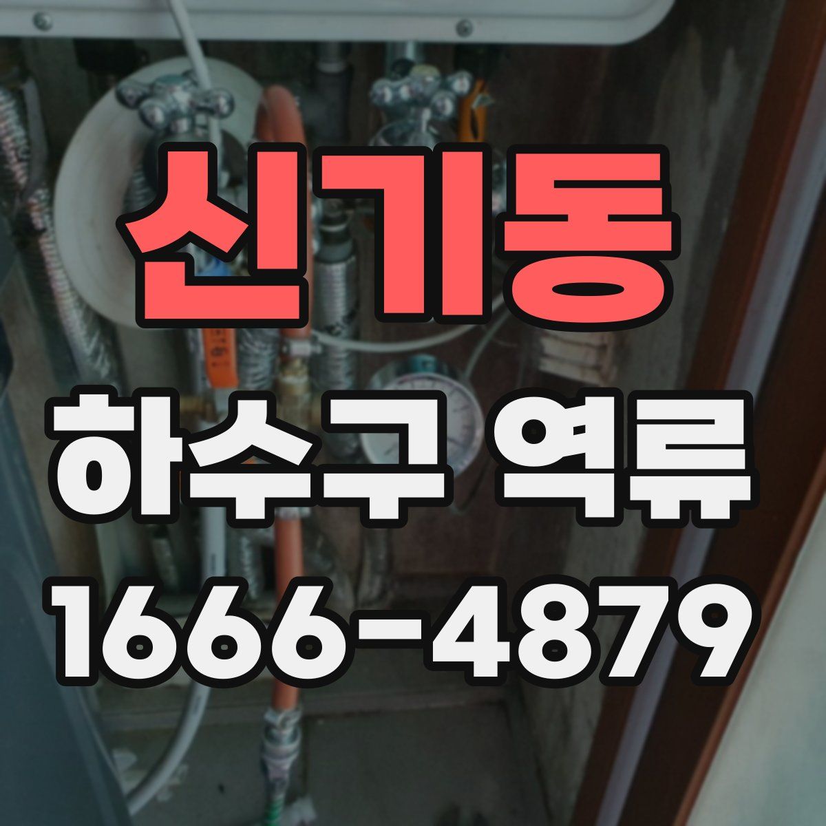 신기동 하수구 역류