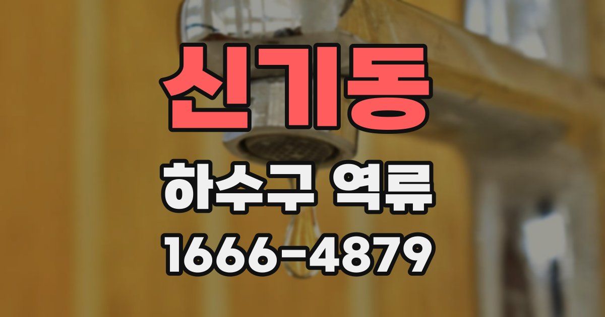 신기동 하수구 역류