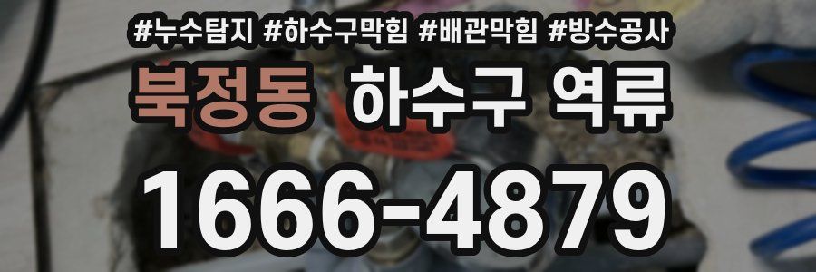 북정동 하수구 역류