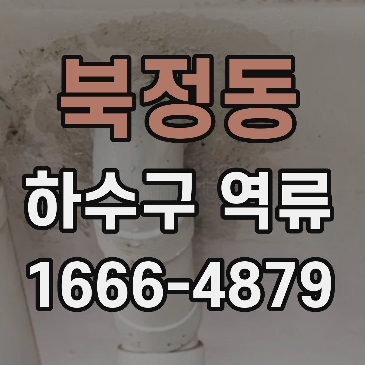 북정동 하수구 역류