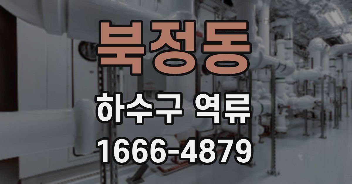 북정동 하수구 역류