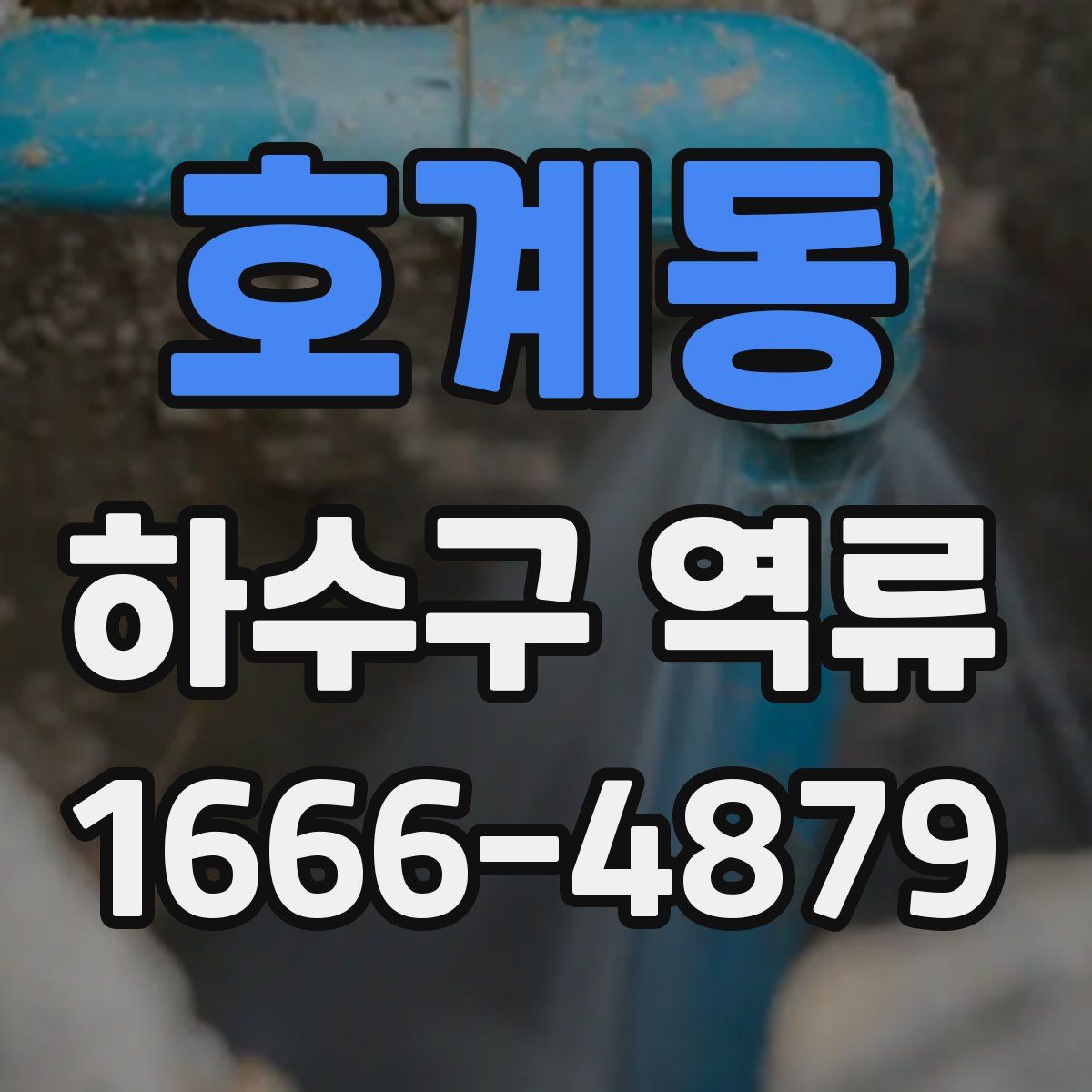 호계동 하수구 역류