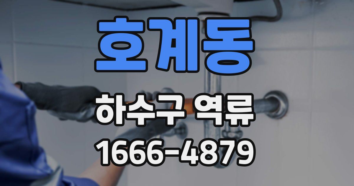 호계동 하수구 역류