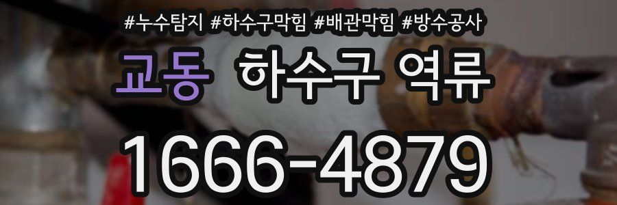 교동 하수구 역류