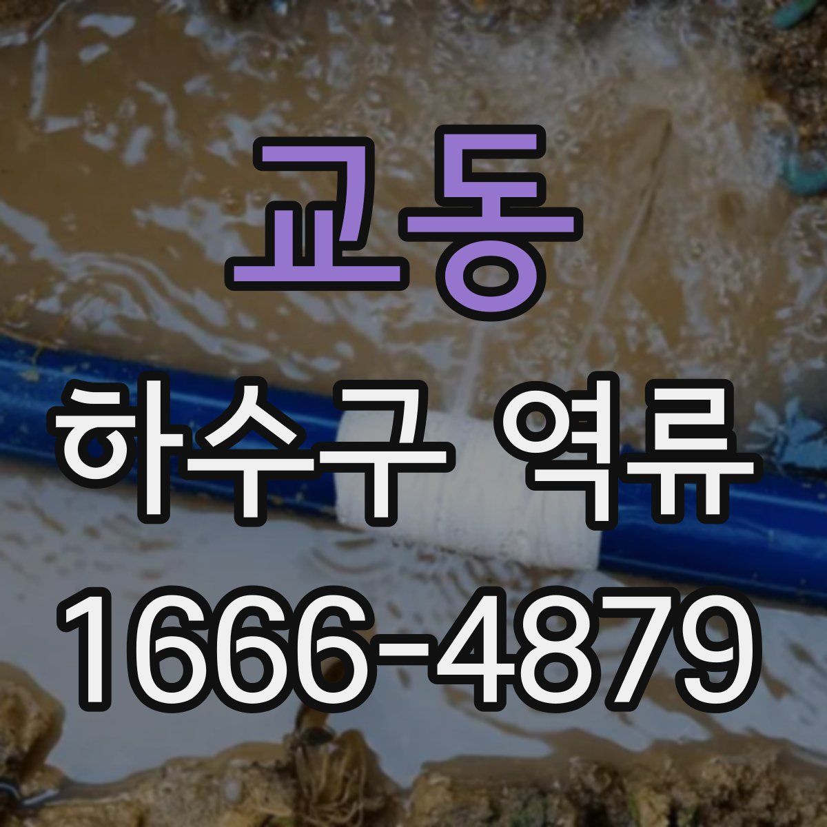 교동 하수구 역류
