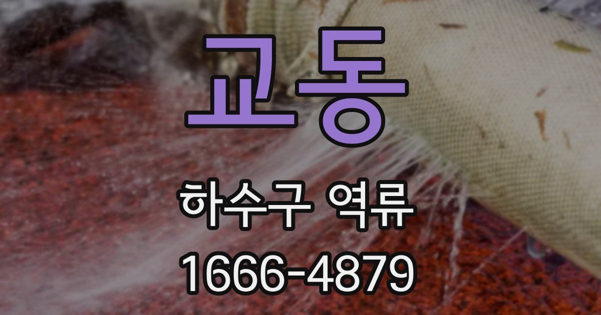 교동 하수구 역류