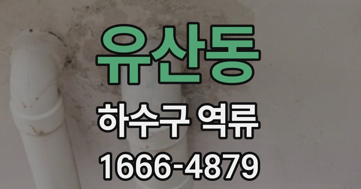 유산동 하수구 역류