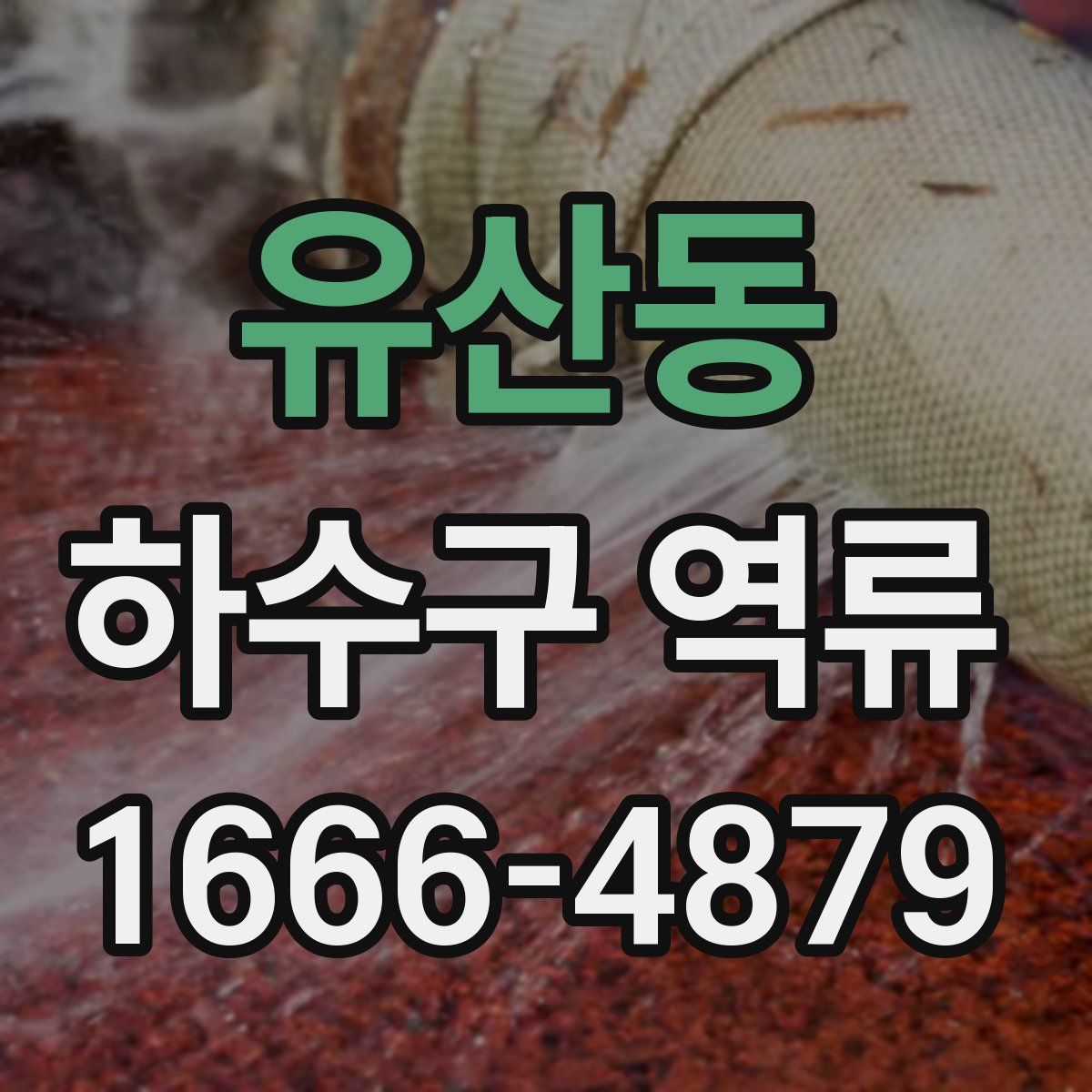 유산동 하수구 역류