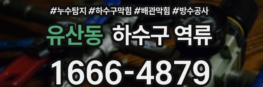 유산동 하수구 역류