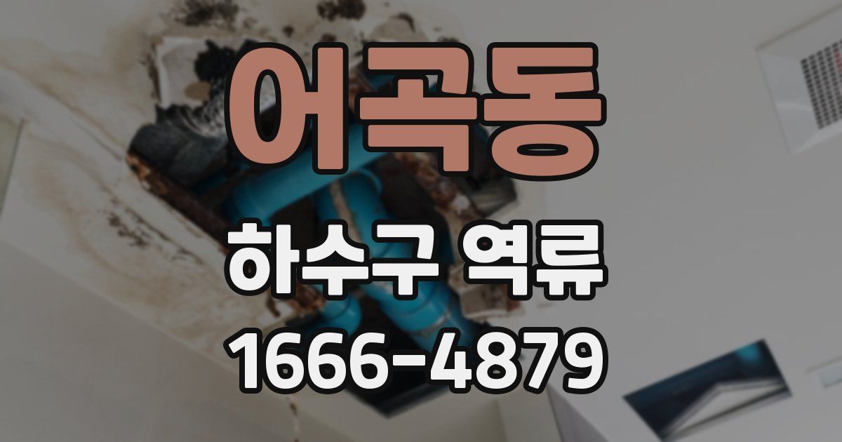 어곡동 하수구 역류