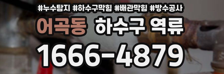 어곡동 하수구 역류