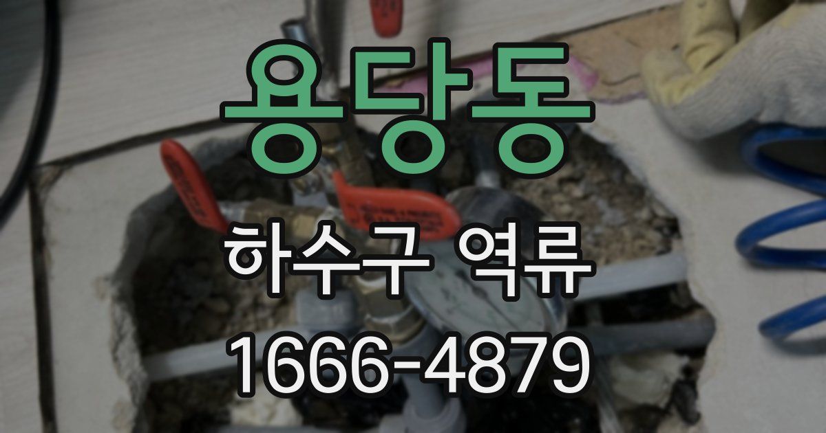용당동 하수구 역류