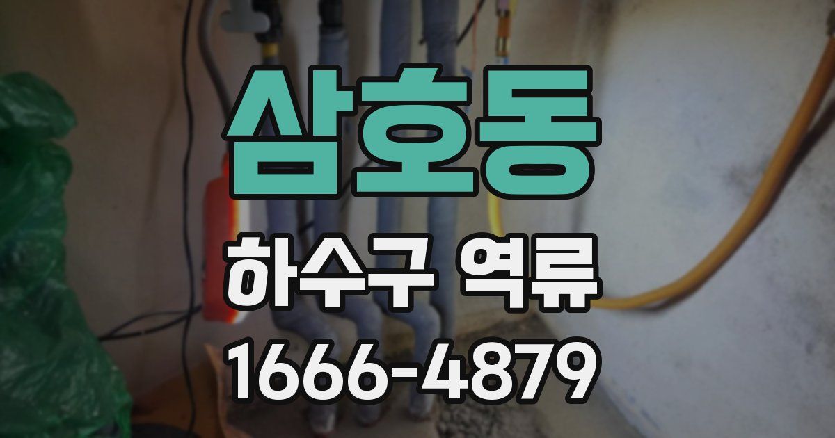 삼호동 하수구 역류