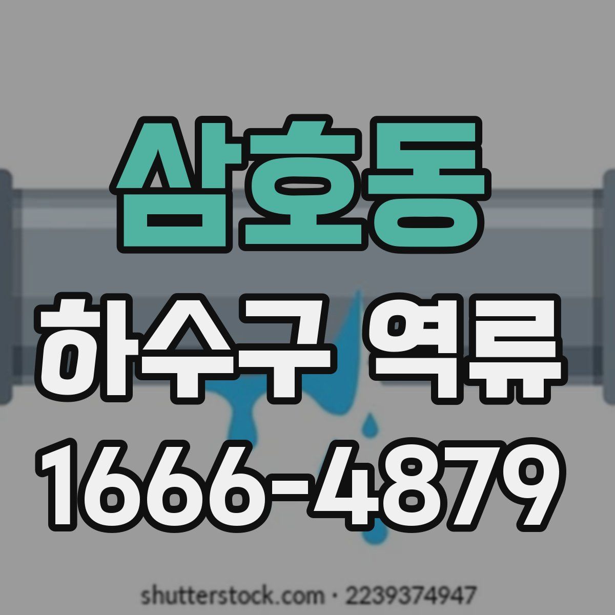 삼호동 하수구 역류