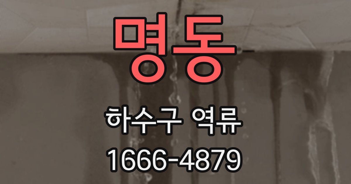 명동 하수구 역류