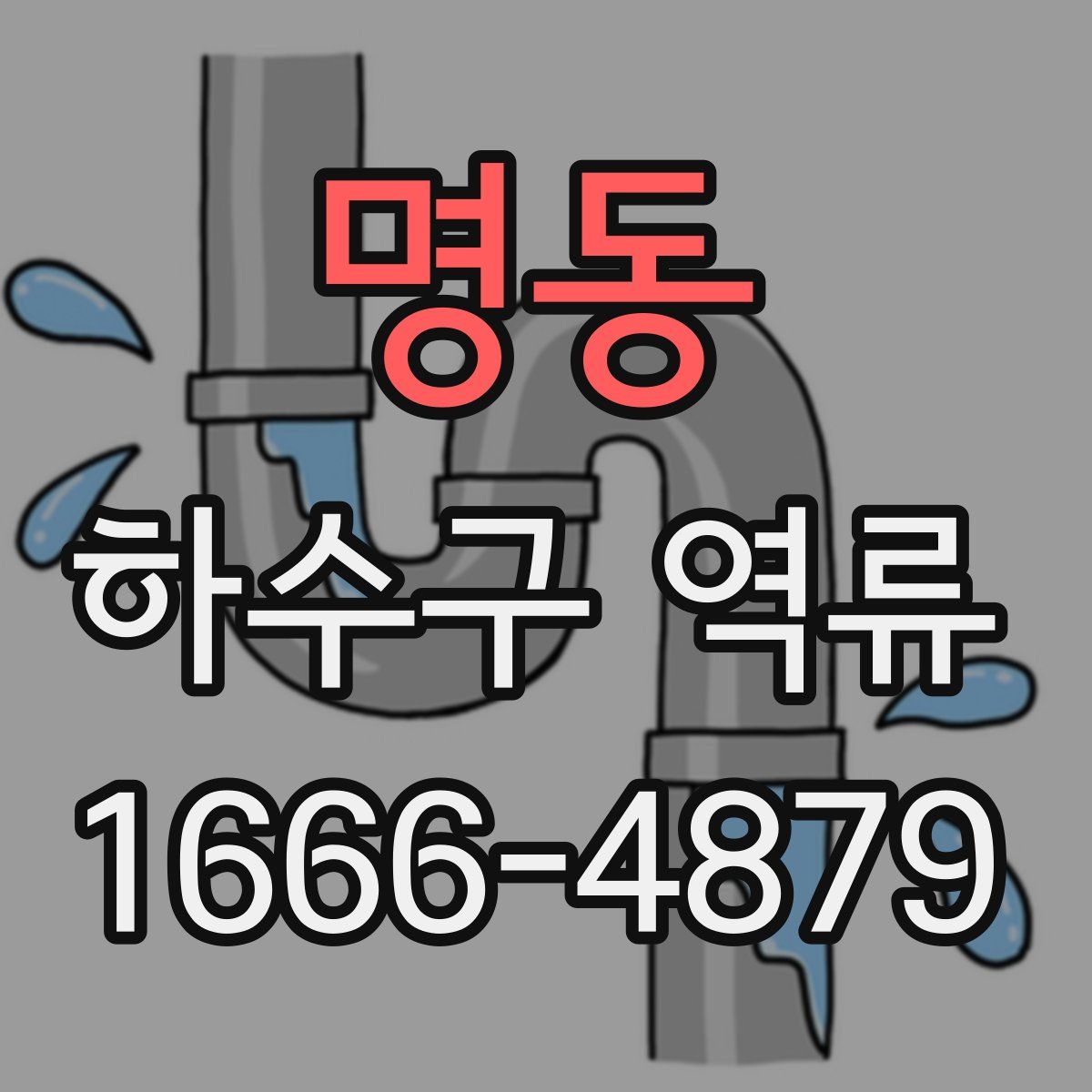 명동 하수구 역류