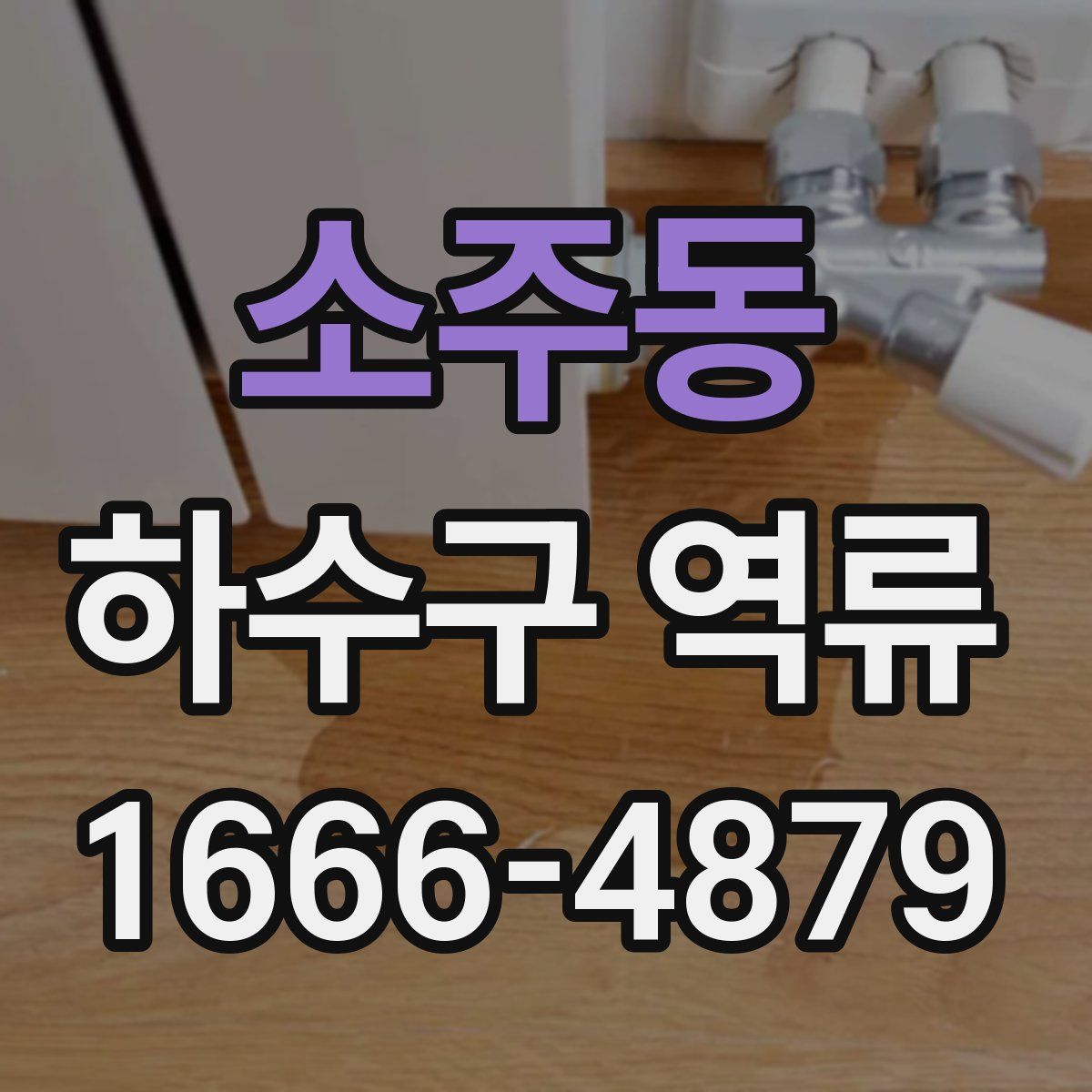 소주동 하수구 역류