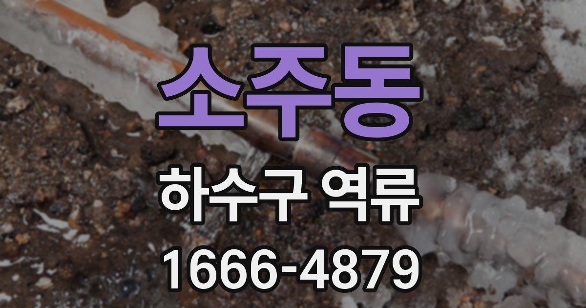 소주동 하수구 역류